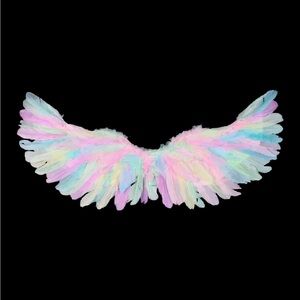 Angel Wing Feathered
Wings Costume For Adults Rainbow